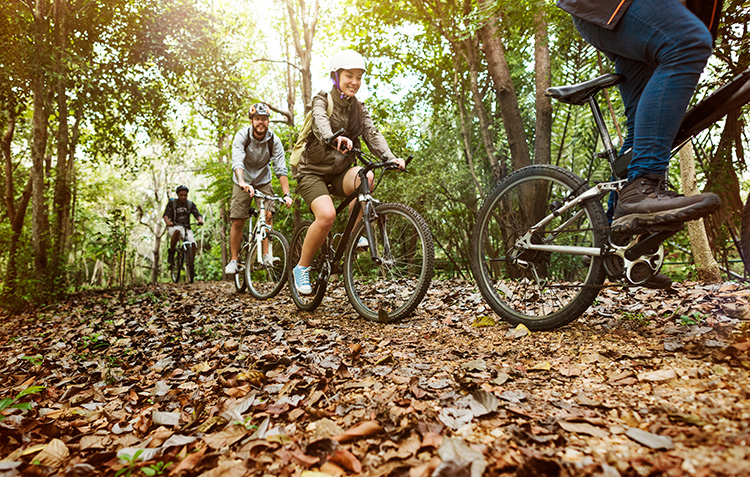 Alpage-grand-montagne-Article-VTT