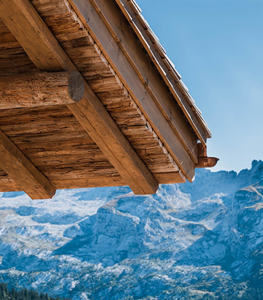 Alpage-grand-montagne-Article-toit